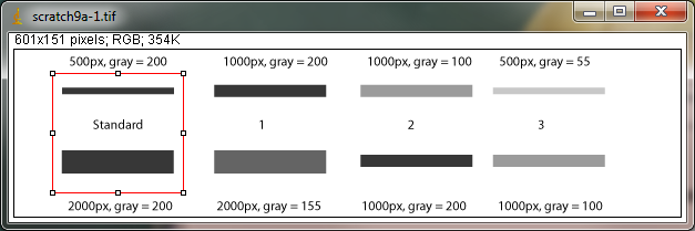 western blot quantification imagej and ccd imager