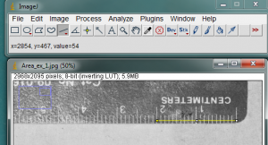 Measuring Leaf Or Algae Blade Area In A Digital Photo With