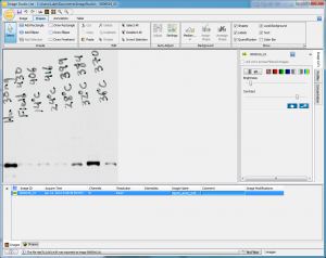 Using the Draw Rectangle button on the Shapes tab, I draw a rectangle to enclose the first band. This rectangle is large enough that it will completely encompass any of the subsequent bands I highlight.