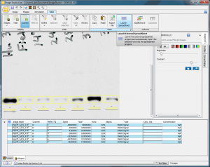 You can also click the Launch Spreadsheet button to create and open a new Excel spreadsheet containing your signal data. 