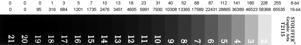 Figure 2. The numbers along the top represent average grayscale values for each step on the scale, expressed at 8-bit values (0-255) or 16-bit values (0-65535).